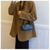 02 (60) Retro Boston Portable Pillow Bag Women 2025 Autumn And Winter New All-Match Shoulder Messenger Bag
