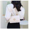 Light Luxury Fashion Casual Style High-End Women's Bag Trendy Versatile Splicing Small Square Bag Simple Design Crossbody Bag