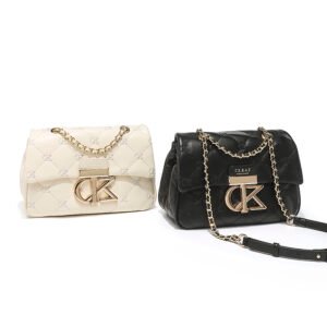 IMG_0529 Versatile Women's Bag