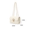 ab3ffb824e63dca3598de5cdde348a2 Korean Chain Bag Ladies Shoulder Bag Letter Magnetic Lock Female Commuter Bag