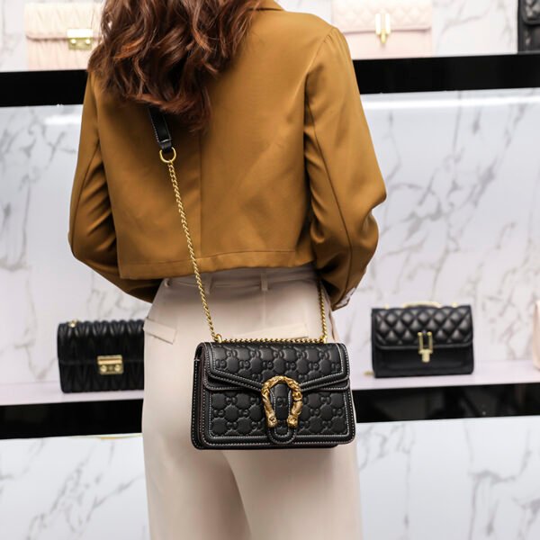 主图 (23) Chain Bag Small Square Bag Bag Senior Sense Of Hundred Shoulder Crossbody Bag Fashion Shoulder Bag
