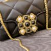 主图 (50) Pearl Diamond Buckle Women's Bag Large Capacity Bag Autumn And Winter New Style Trendy Versatile Shoulder Messenger Bag Diamond Chain Bag